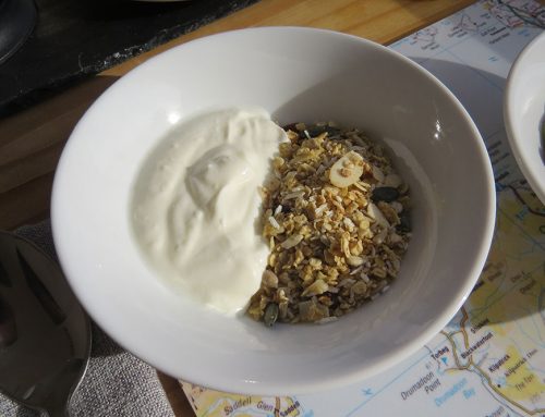 Yoghurt and homemade Granola
